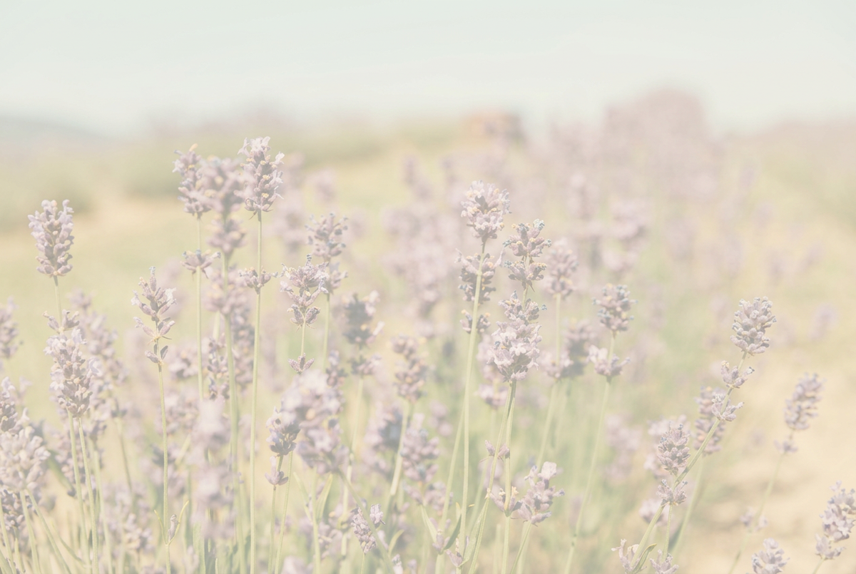 Frosted lavender background